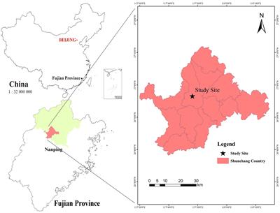 Initial effects of crop tree release and traditional thinning on productivity and carbon storage of Cunninghamia lanceolata plantation